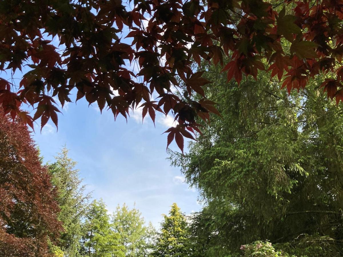 Heathpark House Bed and Breakfast Blairgowrie and Rattray Εξωτερικό φωτογραφία